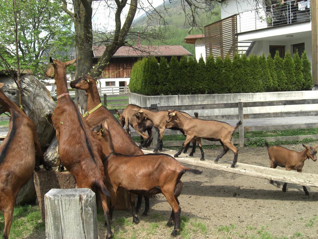 Bauernhof Kuen Villa Längenfeld Dış mekan fotoğraf