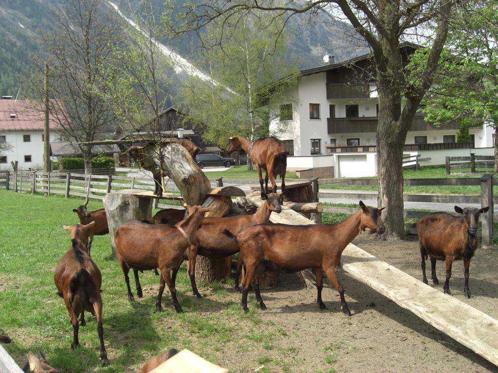 Bauernhof Kuen Villa Längenfeld Dış mekan fotoğraf